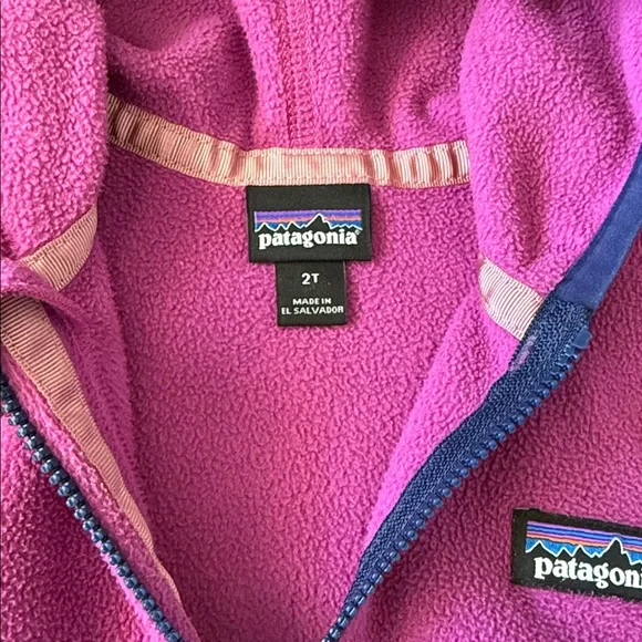 Patagonia toddler Micro D snap fleece - Picture 2 of 2